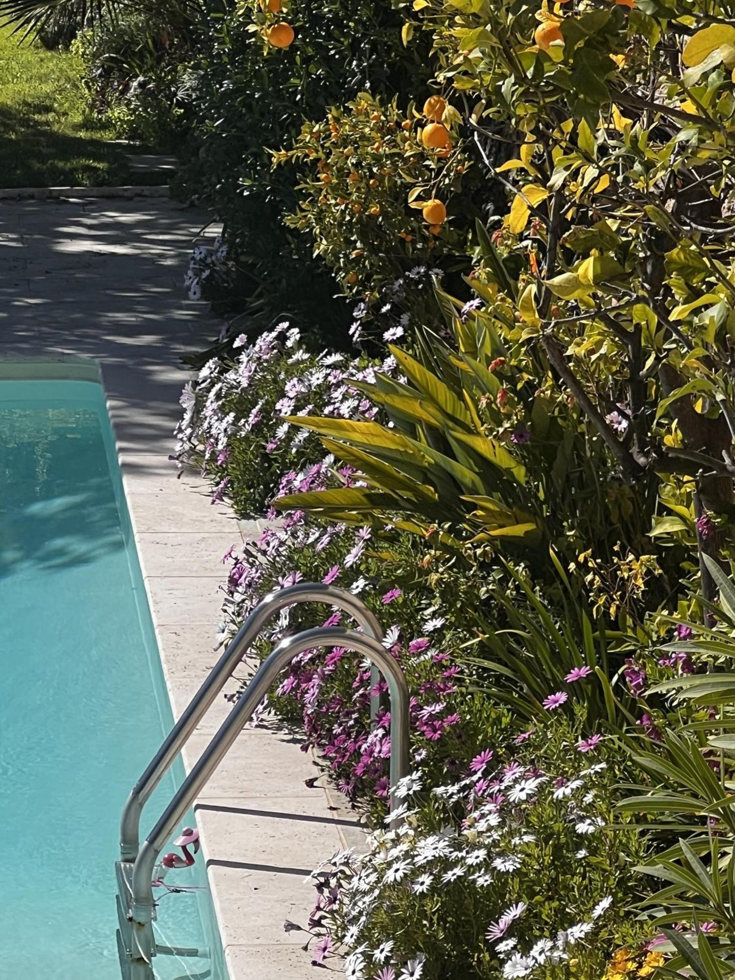 Hotel Les Petites Terrasses Grasse Exterior foto